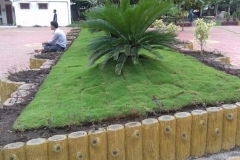 Nemawar